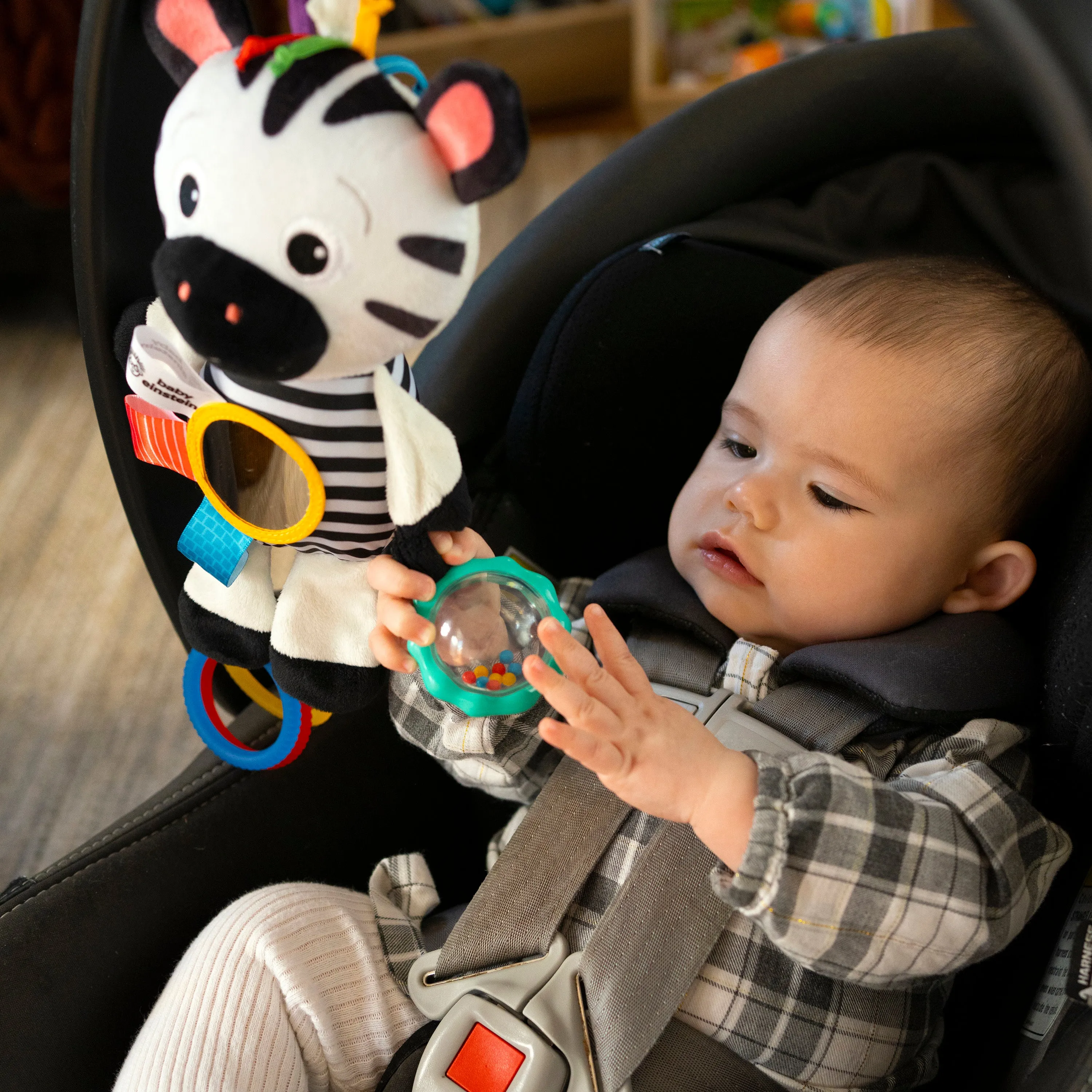 Baby Einstein Zen's Sensory Play Plush Stroller Activity Toy