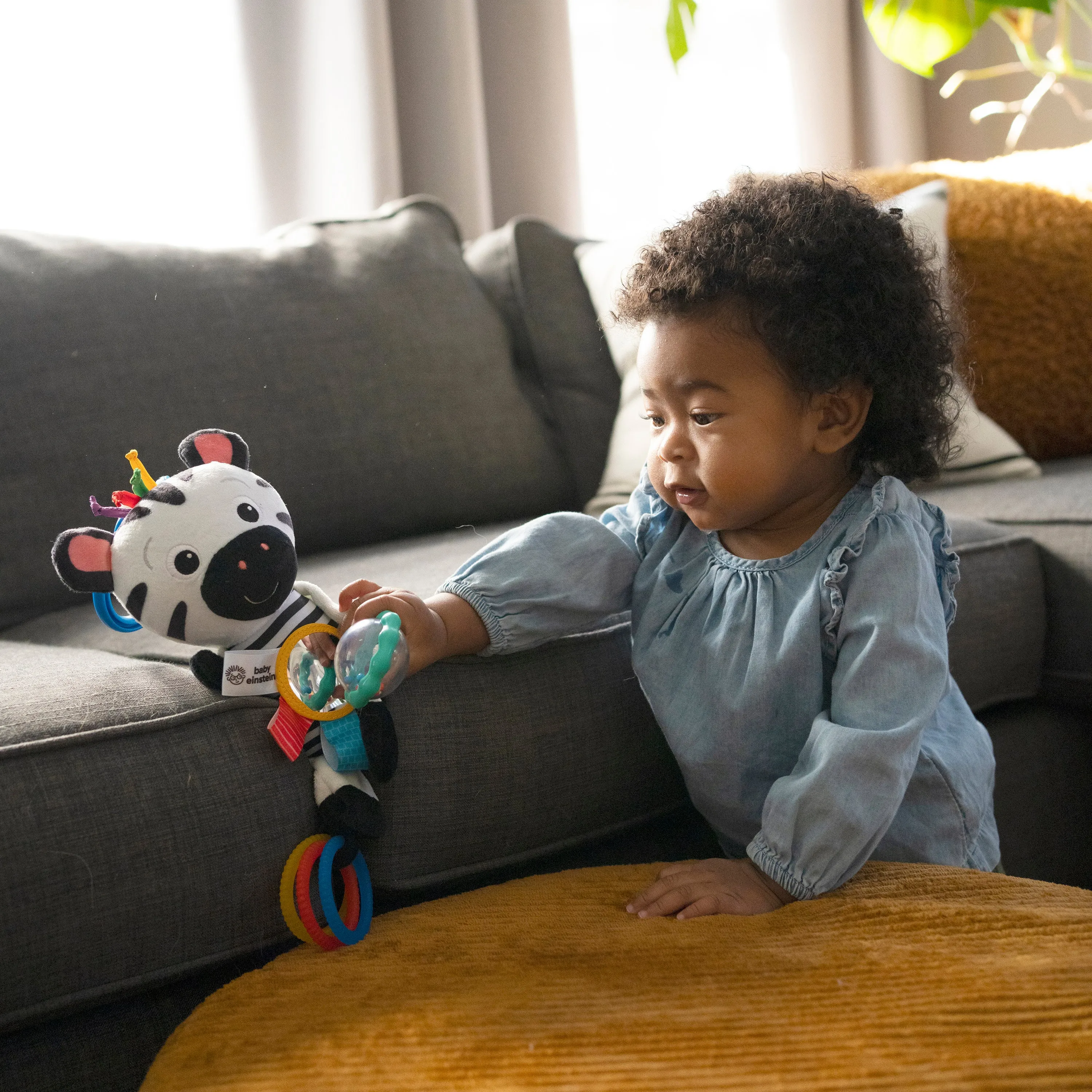 Baby Einstein Zen's Sensory Play Plush Stroller Activity Toy