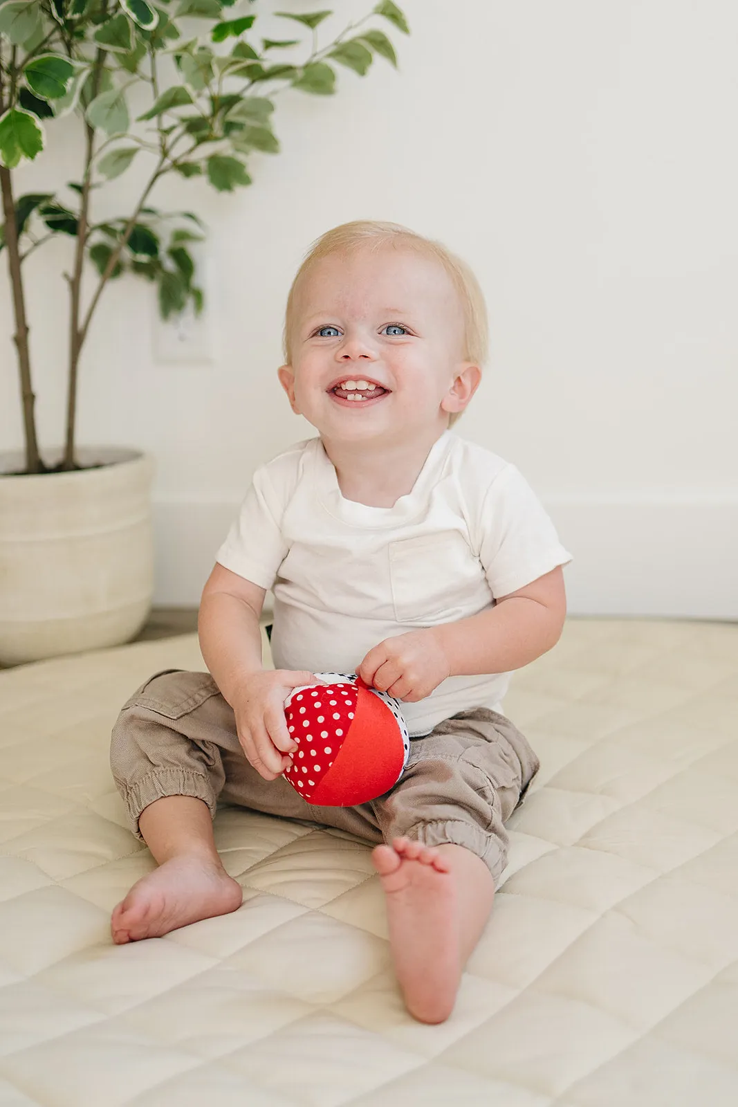 Soft Plush Ball in Black, White, Red with Jingle Chime (4" Diameter)