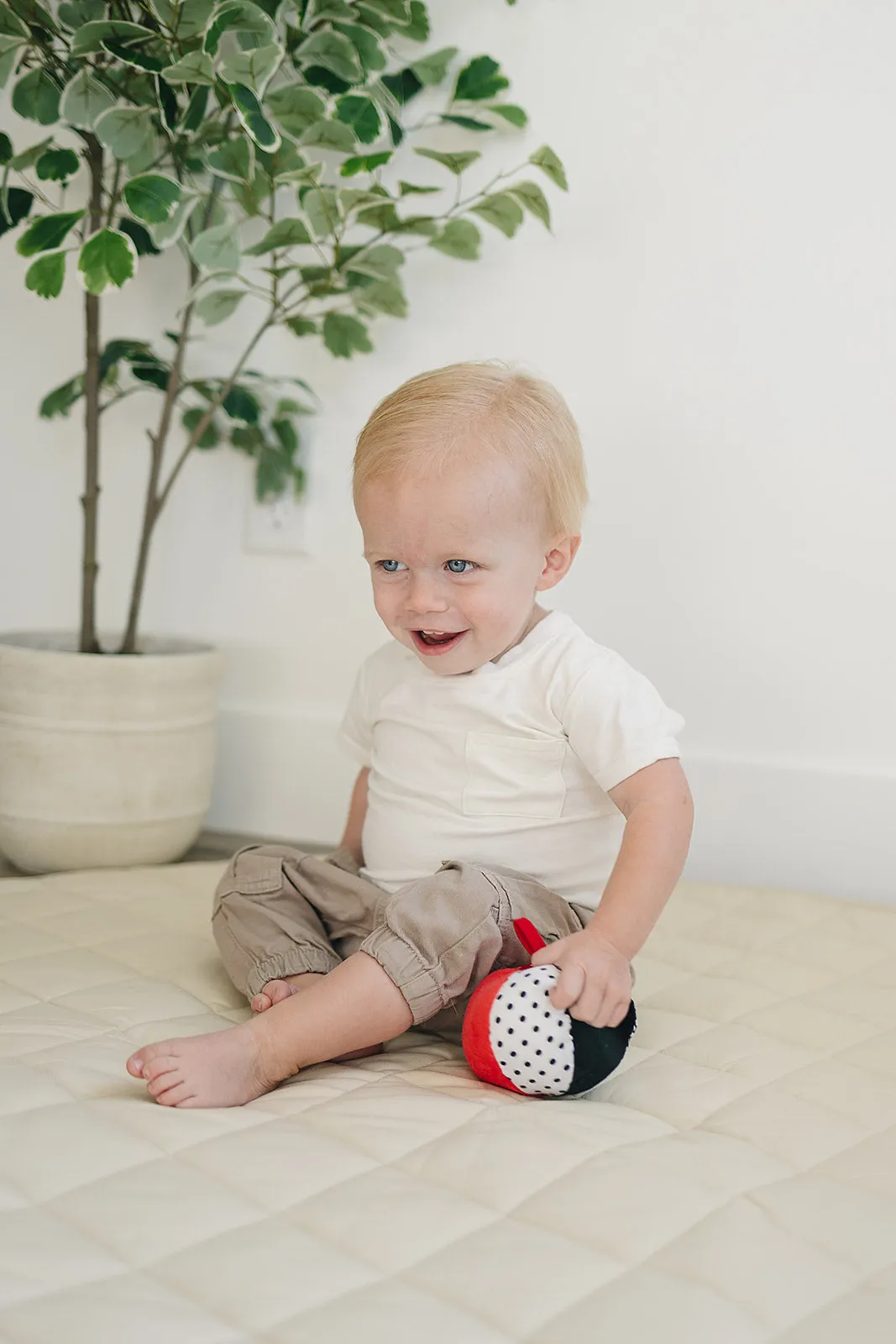 Soft Plush Ball in Black, White, Red with Jingle Chime (4" Diameter)