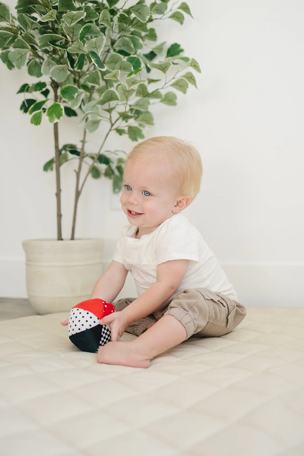 Soft Plush Ball in Black, White, Red with Jingle Chime (4" Diameter)