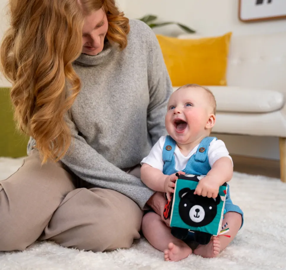 Wimmer Ferguson Baby Discovery Cube